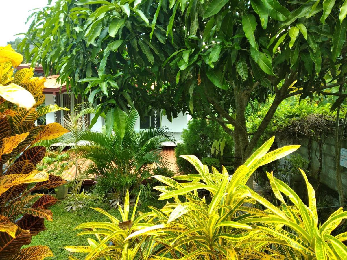 Sandhara Home Stay Tangalle Extérieur photo