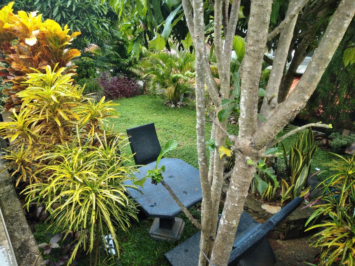 Sandhara Home Stay Tangalle Extérieur photo