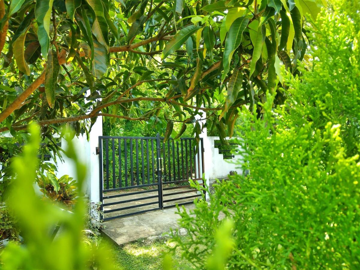Sandhara Home Stay Tangalle Extérieur photo